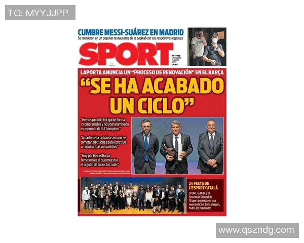 深圳排球队技术深度解析：从基本功到战术运用的全面探讨